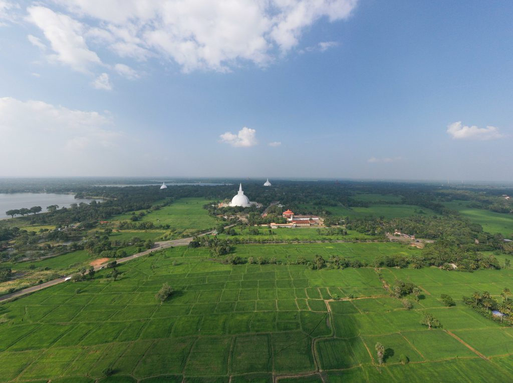 view